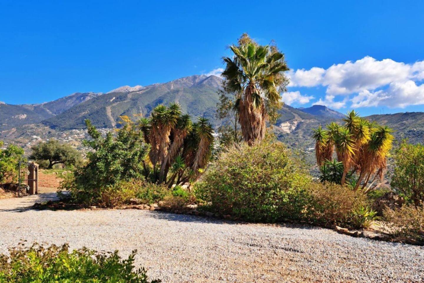 La Perla Andaluza Villa อัลเกาซิน ภายนอก รูปภาพ
