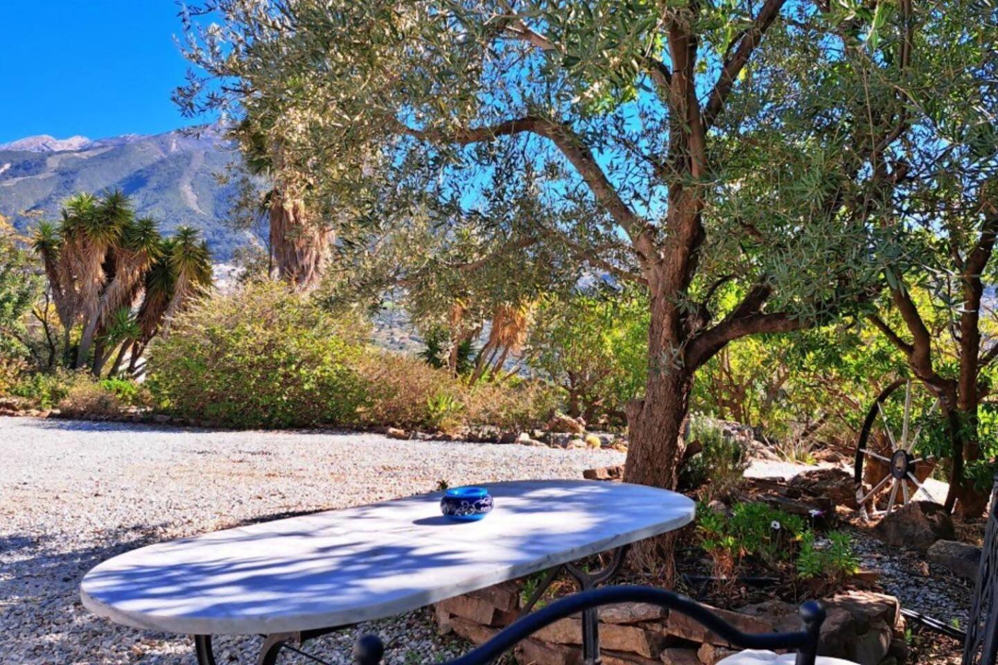 La Perla Andaluza Villa อัลเกาซิน ภายนอก รูปภาพ